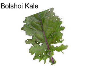 Bolshoi Kale