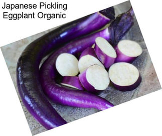 Japanese Pickling Eggplant Organic