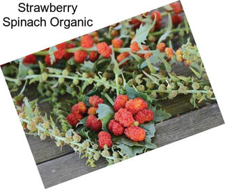 Strawberry Spinach Organic