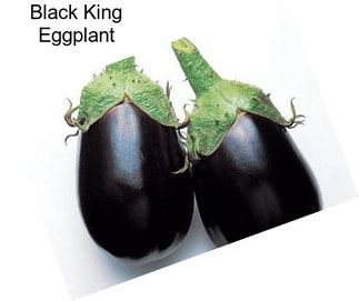 Black King Eggplant