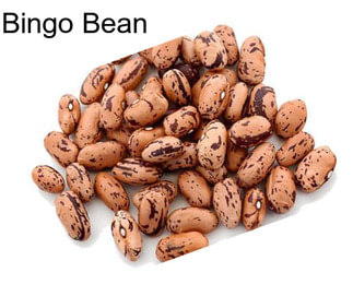 Bingo Bean