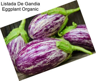 Listada De Gandia Eggplant Organic