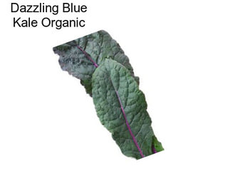 Dazzling Blue Kale Organic