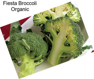 Fiesta Broccoli Organic