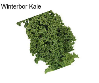 Winterbor Kale