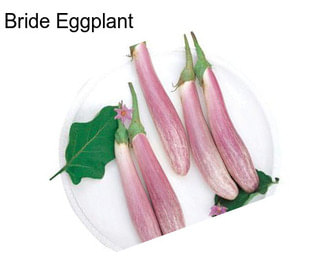 Bride Eggplant