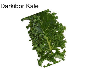 Darkibor Kale