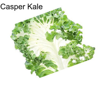 Casper Kale