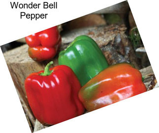 Wonder Bell Pepper