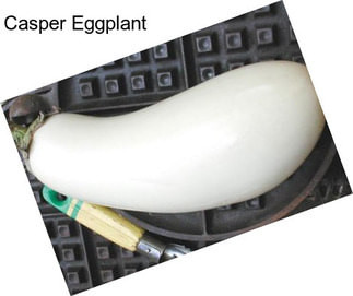 Casper Eggplant