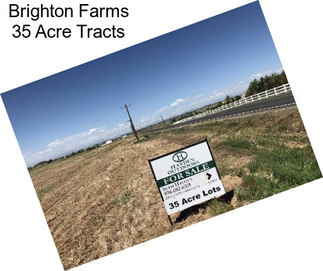 Brighton Farms 35 Acre Tracts