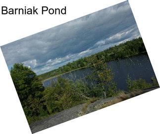 Barniak Pond