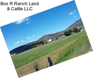 Box R Ranch Land & Cattle LLC