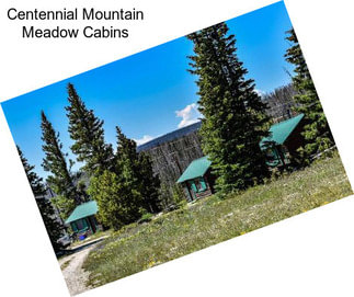 Centennial Mountain Meadow Cabins