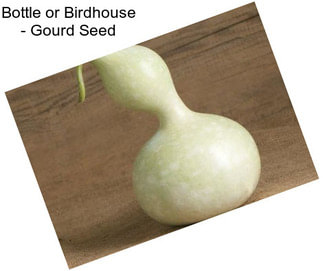 Bottle or Birdhouse - Gourd Seed