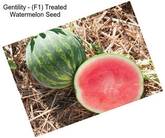 Gentility - (F1) Treated Watermelon Seed