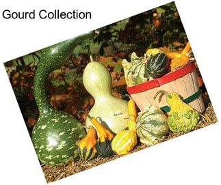 Gourd Collection