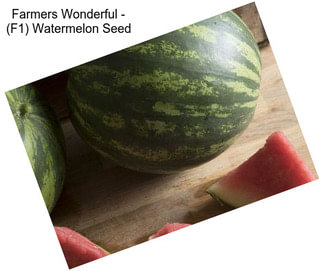 Farmers Wonderful - (F1) Watermelon Seed