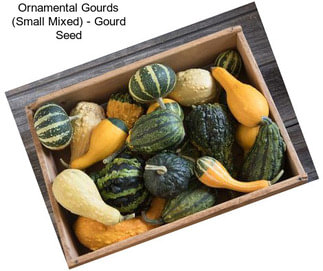 Ornamental Gourds (Small Mixed) - Gourd Seed