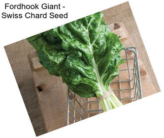 Fordhook Giant - Swiss Chard Seed