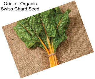 Oriole - Organic Swiss Chard Seed