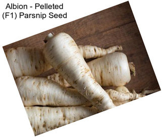 Albion - Pelleted (F1) Parsnip Seed