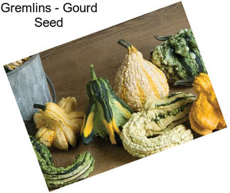 Gremlins - Gourd Seed