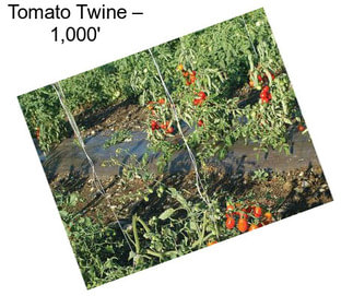 Tomato Twine – 1,000\'