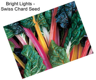 Bright Lights - Swiss Chard Seed