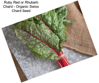 Ruby Red or Rhubarb Chard - Organic Swiss Chard Seed