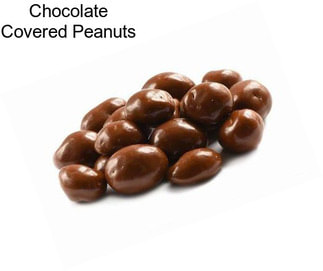 Chocolate Covered Peanuts