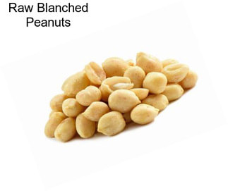 Raw Blanched Peanuts