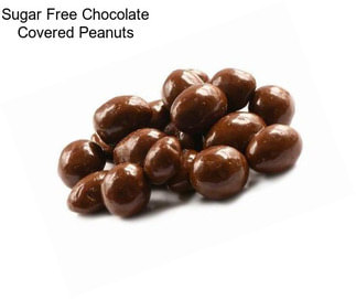 Sugar Free Chocolate Covered Peanuts