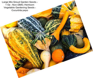 Large Mix Groud Garden Seeds - 1 Oz - Non-GMO, Heirloom Vegetable Gardening Seeds - Cucurbita pepo