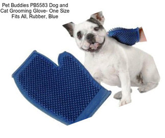 Pet Buddies PB5583 Dog and Cat Grooming Glove- One Size Fits All, Rubber, Blue