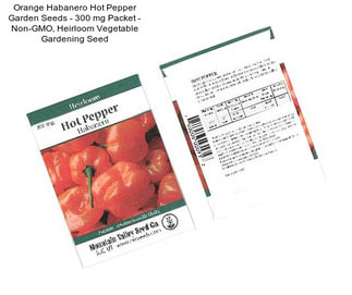 Orange Habanero Hot Pepper Garden Seeds - 300 mg Packet - Non-GMO, Heirloom Vegetable Gardening Seed