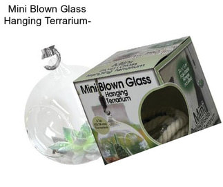 Mini Blown Glass Hanging Terrarium-