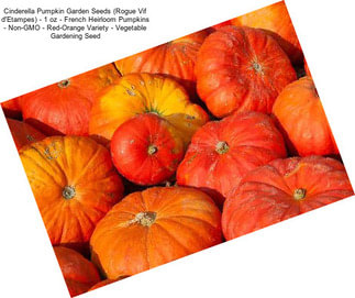 Cinderella Pumpkin Garden Seeds (Rogue Vif d\'Etampes) - 1 oz - French Heirloom Pumpkins - Non-GMO - Red-Orange Variety - Vegetable Gardening Seed