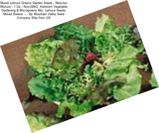 Mixed Lettuce Greens Garden Seeds - Mesclun Mixture - 1 Oz - Non-GMO, Heirloom Vegetable Gardening & Microgreens Mix, Lettuce Seeds: Mixed Greens -.., By Mountain Valley Seed Company Ship from US