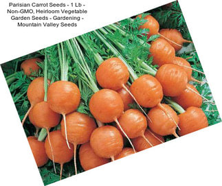 Parisian Carrot Seeds - 1 Lb - Non-GMO, Heirloom Vegetable Garden Seeds - Gardening - Mountain Valley Seeds