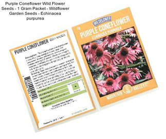 Purple Coneflower Wild Flower Seeds - 1 Gram Packet - Wildflower Garden Seeds - Echinacea purpurea