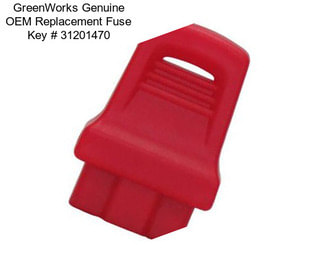 GreenWorks Genuine OEM Replacement Fuse Key # 31201470