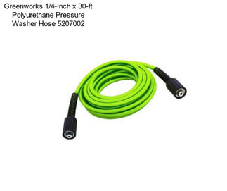 Greenworks 1/4-Inch x 30-ft Polyurethane Pressure Washer Hose 5207002