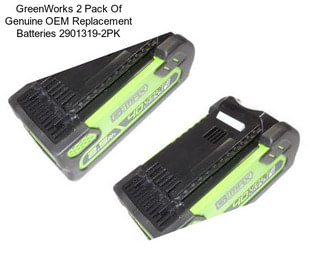 GreenWorks 2 Pack Of Genuine OEM Replacement Batteries 2901319-2PK