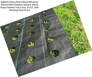 Agfabric Easy-Plant Weed Block for Raised Bed Outdoor Garden Weed Rugs Garden mat 3.0oz, 4\'x12\' ,with Planting Hole Dia 6\