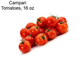Campari Tomatoes, 16 oz