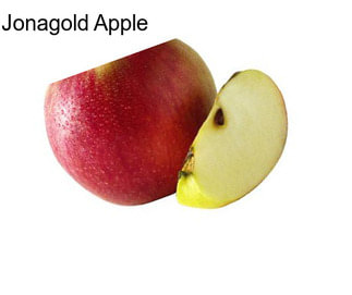 Jonagold Apple