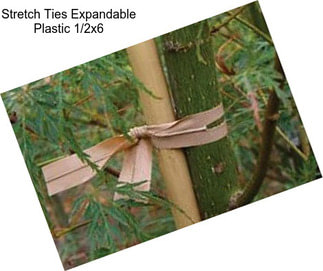 Stretch Ties Expandable Plastic 1/2\