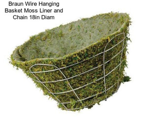 Braun Wire Hanging Basket Moss Liner and Chain 18in Diam