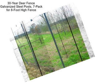 30-Year Deer Fence Galvanized Steel Posts, 7-Pack for 8-Foot High Fence